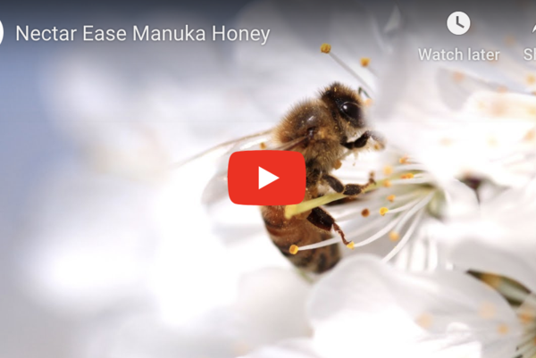 4. Nectar Ease Manuka Honey with Added Bee Venom